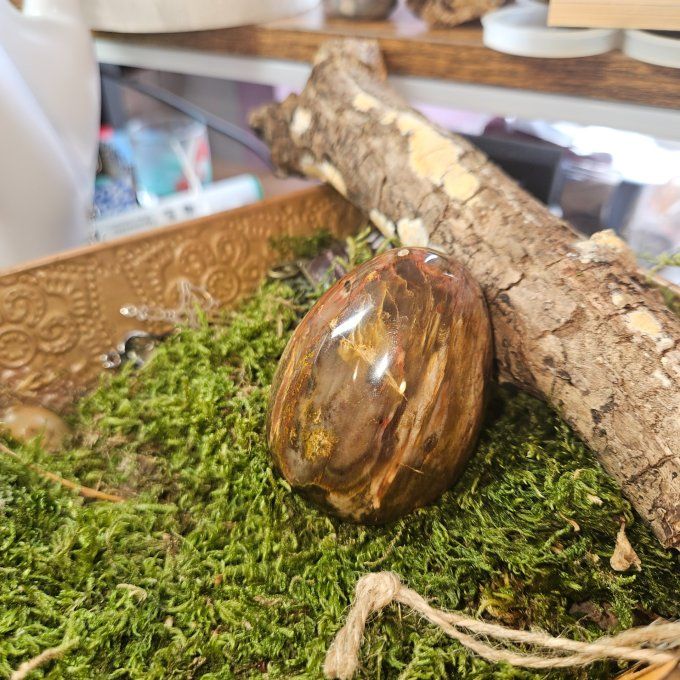 Bois fossile pétrifié oeuf 10*5