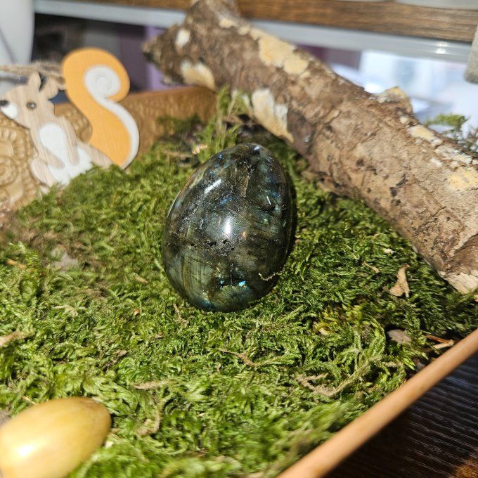 Oeuf labradorite 7*5