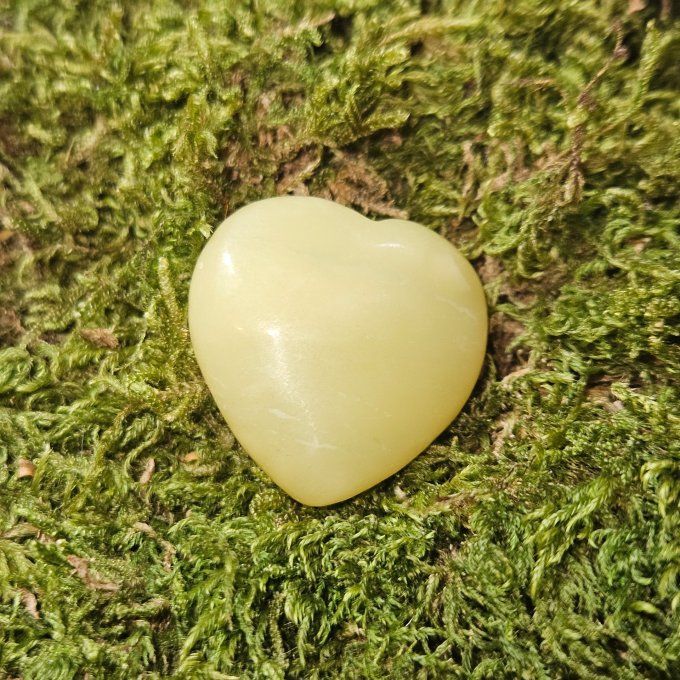 Coeur de serpentine  cheetah taillé 3*3