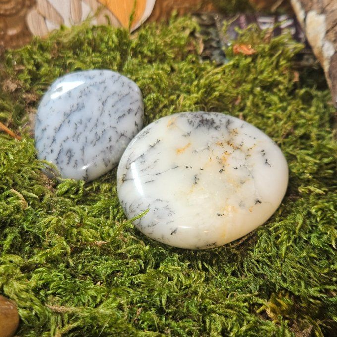 Galet opale laiteuse dendritique 5*4