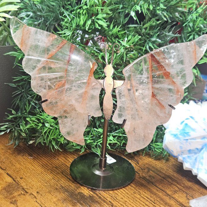 Papillon Quartz Hematoide 