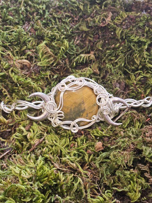 Charms Nellite✨ Lionskin ✨Pietersite doré -protection et joie de vivre 