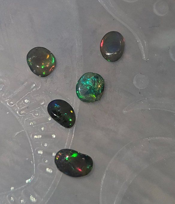 Boucle d'oreille en opale noire réserver florence 
