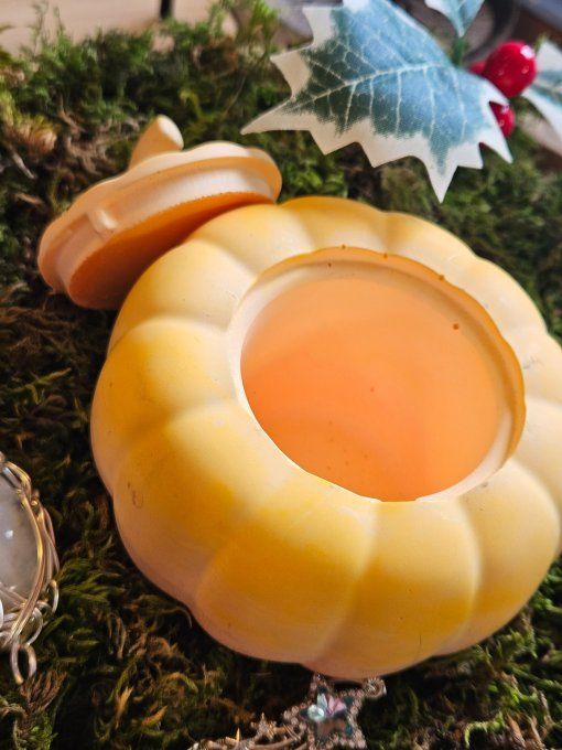 Citrouille En Jesmonite – Bougeoir Magique & Gothique