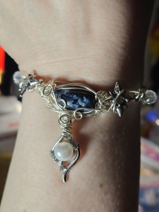 Charms Pietersite ✨protection, libération et emotion