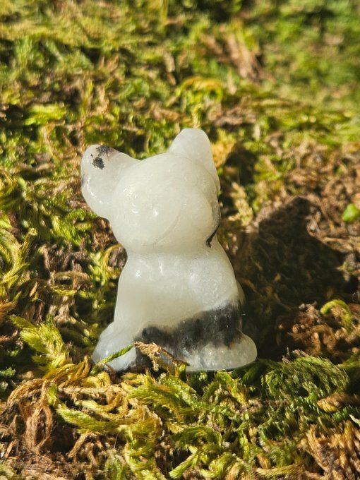 Chien jaspe Zèbre 5 cm