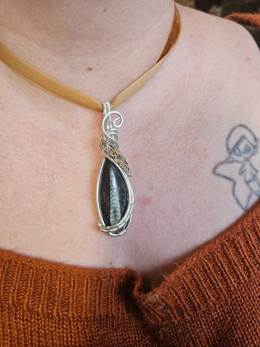 Orthoceras ✨Straight Horn ✨