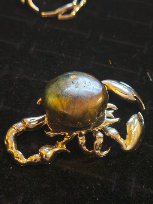 Superbe Scorpion Labradorite  10/12 cm protection et confiance 