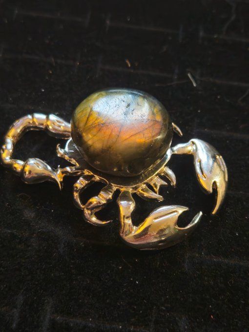 Superbe Scorpion Labradorite 10/12 cm protection et confiance