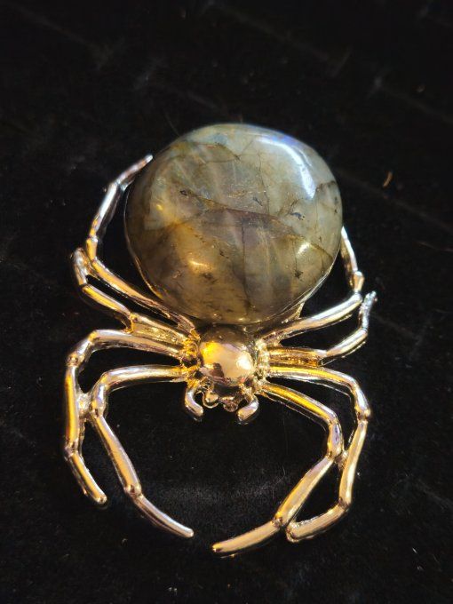 Belle Araignée Labradorite 10/12 cm , protection et confiance
