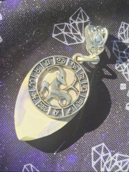 Pendentif Tiffany 's Stone ✨astro capricorne