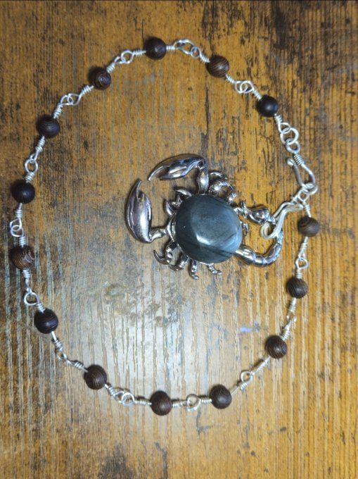 Superbe Scorpion Labradorite  10/12 cm protection et confiance 