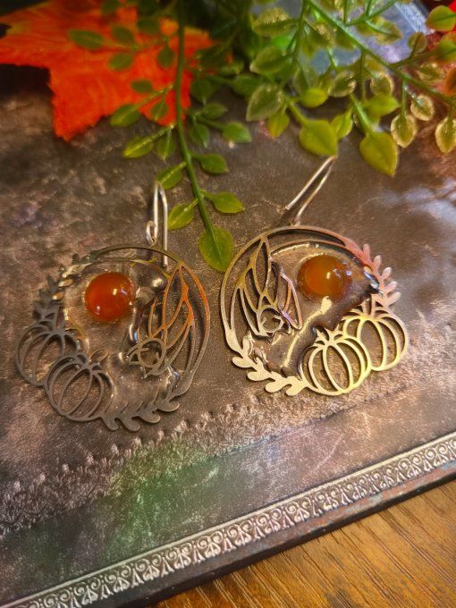  Boucles d'oreilles Cornaline - humilité et détente. 