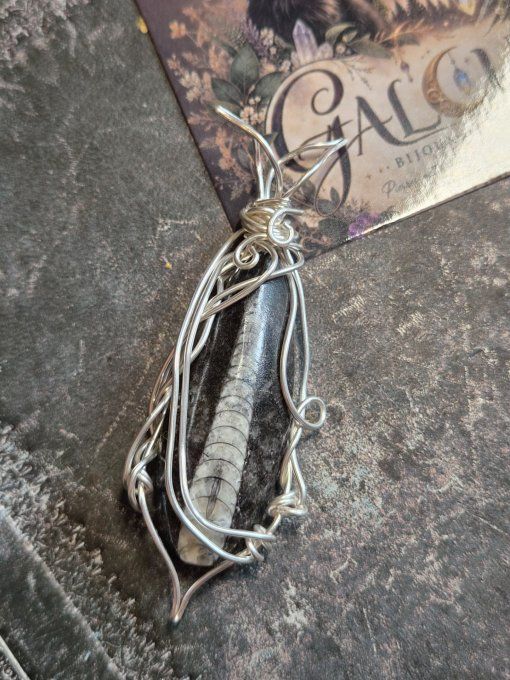 Morvëlan — Amulette en Fossile Orthoceras