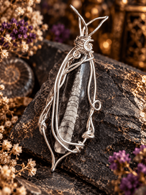 Morvëlan — Amulette en Fossile Orthoceras