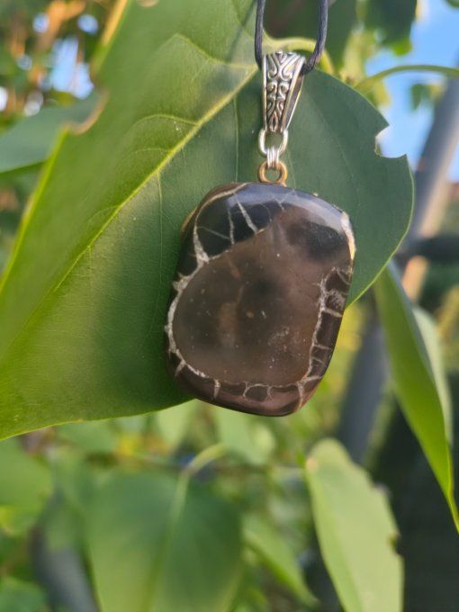 Pendentif Septatia sauvage 