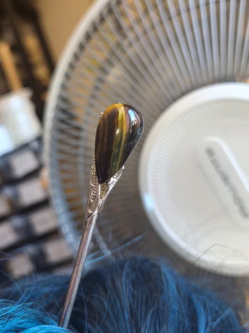 Pic à chignon œil de tigre