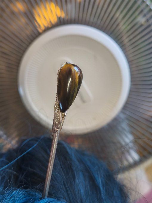 Pic à chignon œil de tigre