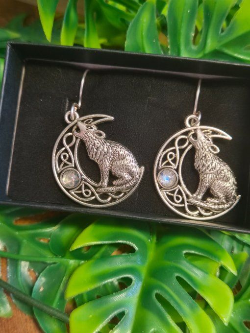Boucle d’oreille Pierre de lune ✨ Péristerite