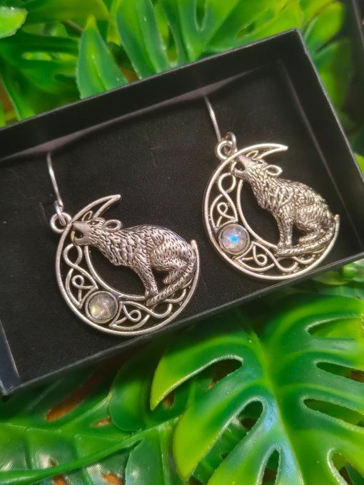 Boucle d’oreille Pierre de lune ✨ Péristerite 