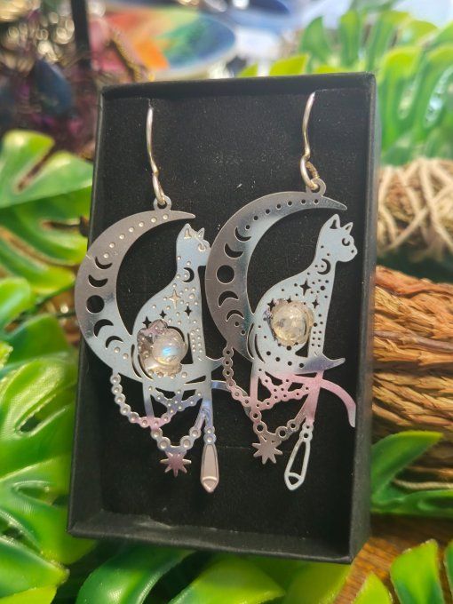 Boucle d’oreille Pierre de lune ✨ Péristerite ✨