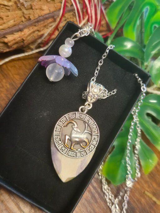 Pendentif Tiffany 's Stone ✨astro capricorne