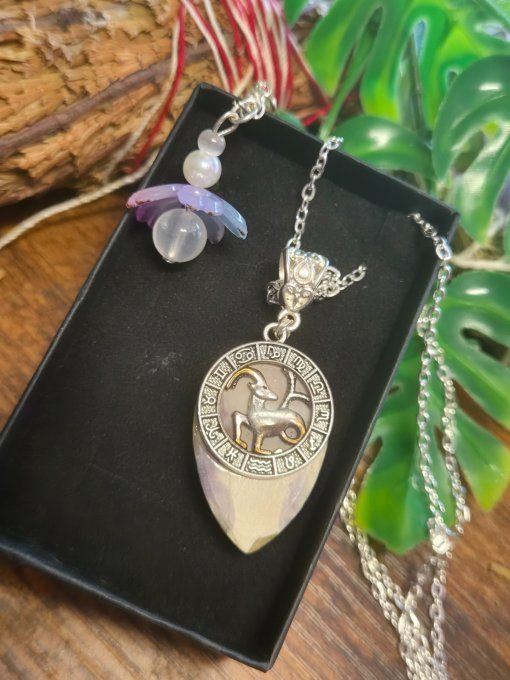 Pendentif Tiffany 's Stone ✨astro capricorne