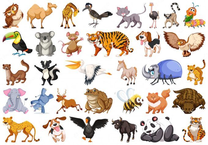 Questionnaire pour ton animal 