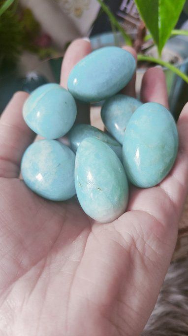 Oeuf d'amazonite 