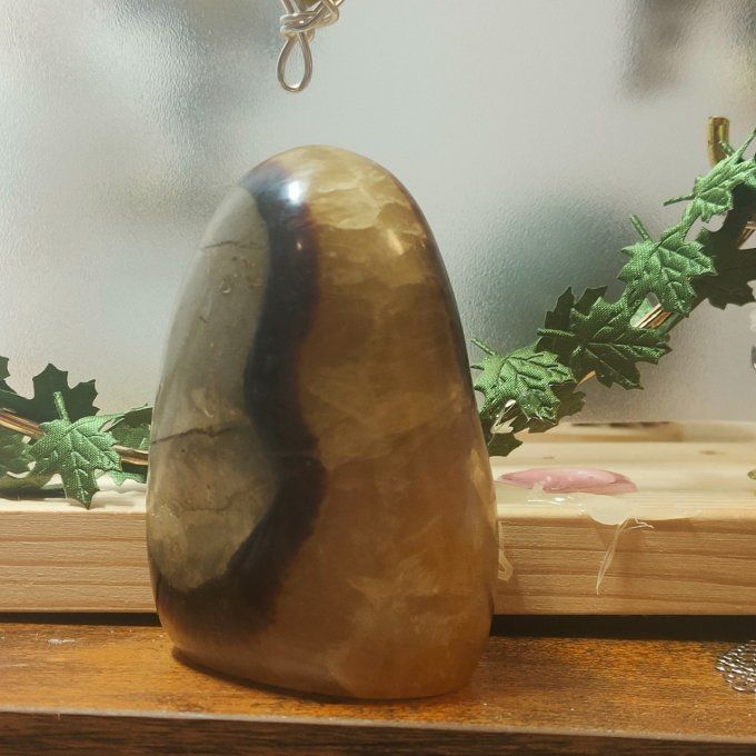 forme septaria - 