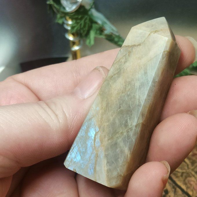 Obélisque belomorite-pierre de lune pêche 6*2