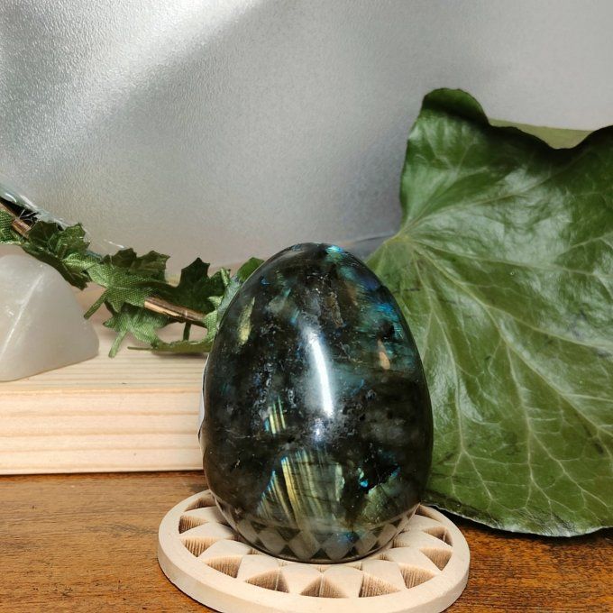 Oeuf labradorite 5*4