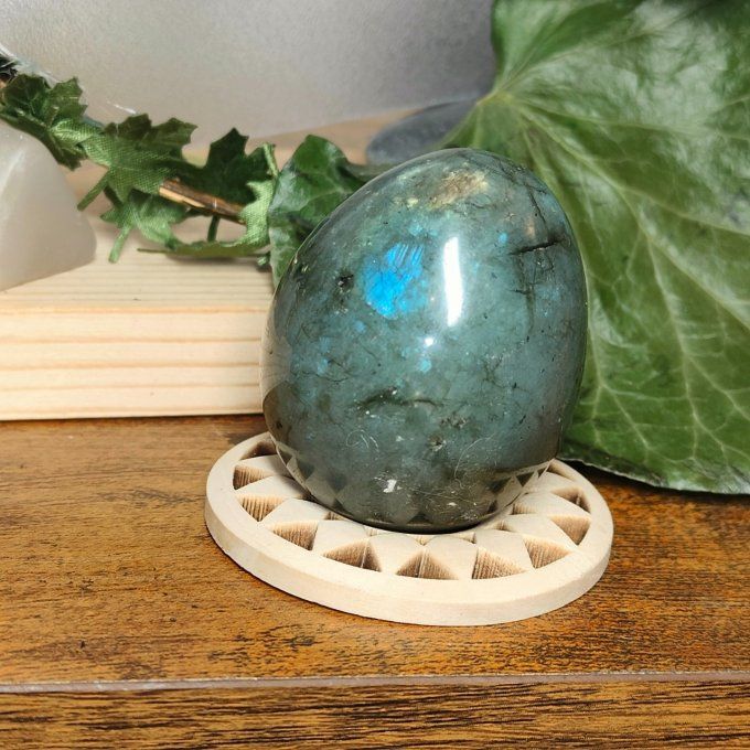 Oeuf labradorite 5*4