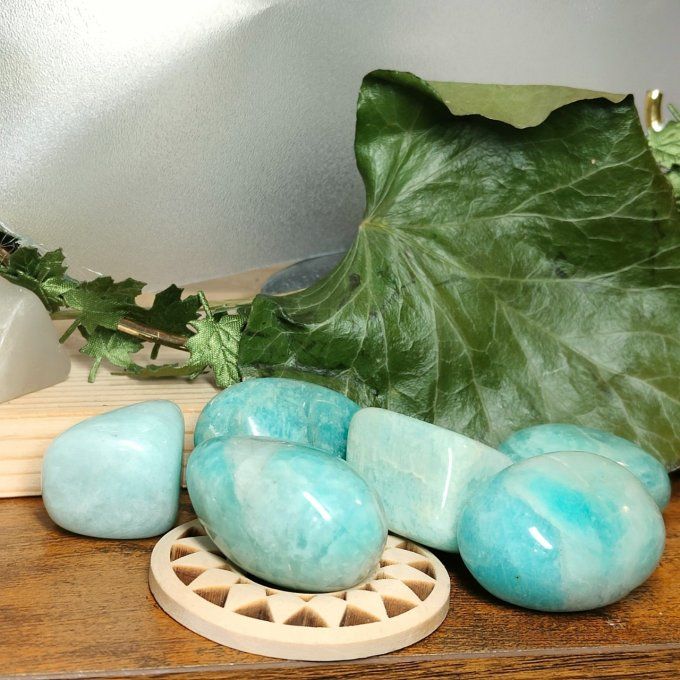 Oeuf d'amazonite 4*2