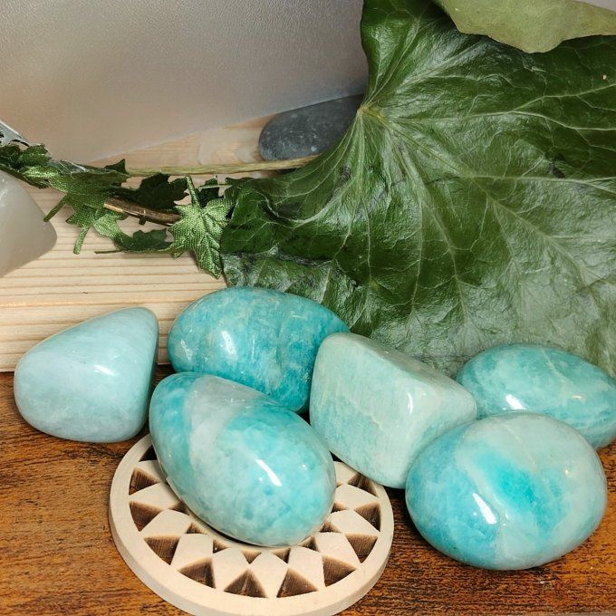 Oeuf d'amazonite 4*2