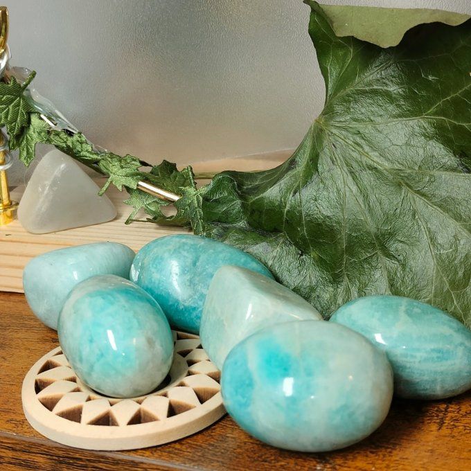 Oeuf d'amazonite 4*2
