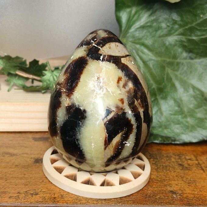 Oeuf septaria 7*5