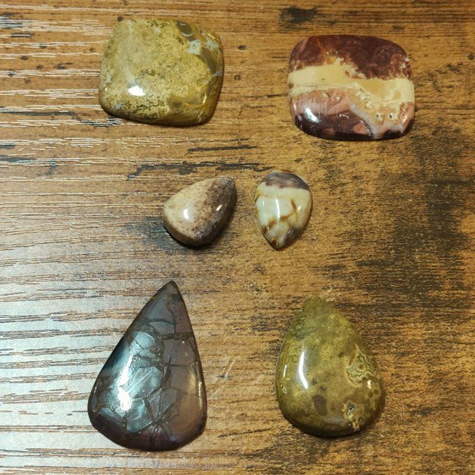 Bois fossile , pétrifié, silicifié et bois de palmier