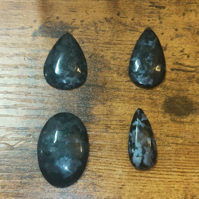 Jaspe Gabbro ✨