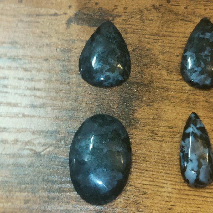 Jaspe Gabbro ✨