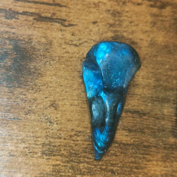 Labradorite Bleu+ crâne corbeau et serpent 