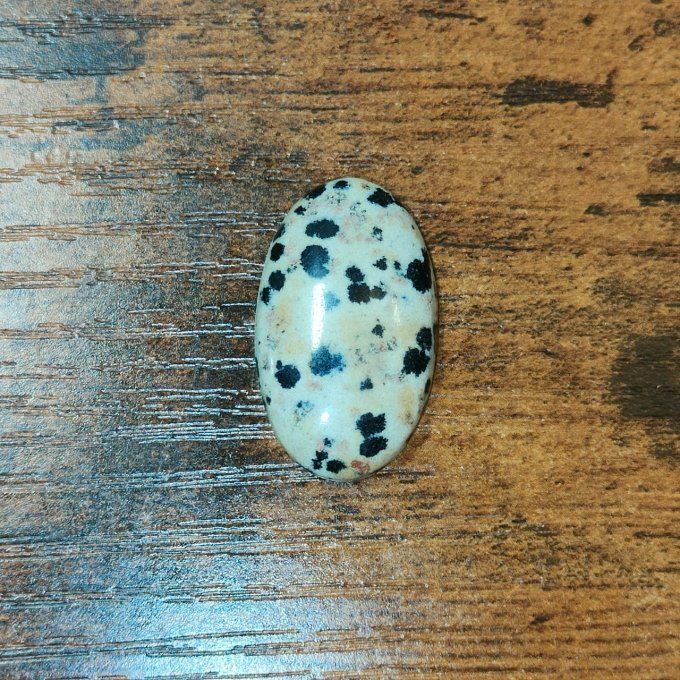 Jaspe Dalmatien