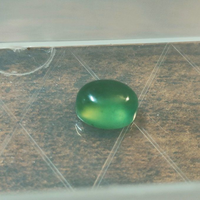 Serpentine 6 mm